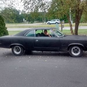 Meet your Posher, Brandon